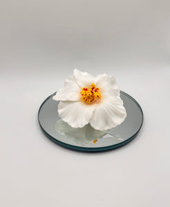 Amapola hair clip