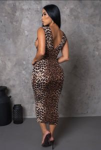 Safari Dress